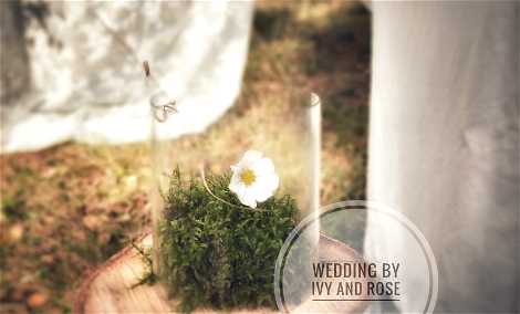 Wedding by Ivy and Rose