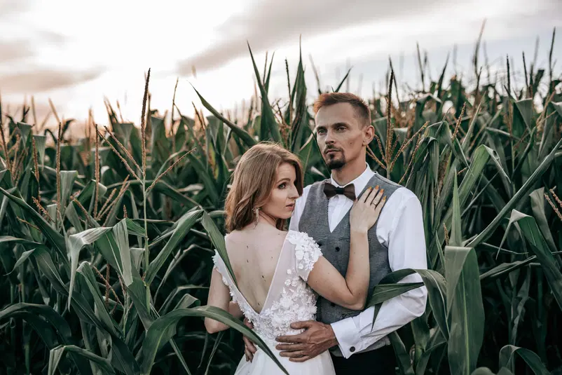  Para młoda pozuje w polu kukurydzy podczas złotej godziny. 