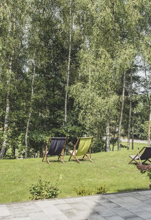 Leżaki na trawie z widokiem na brzozowy las, idealne miejsce na relaks i odpoczynek na świeżym powietrzu.