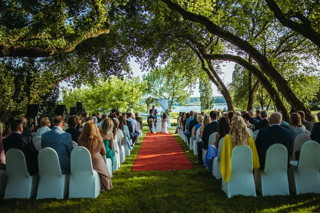 Plenerowa ceremonia ślubna na świeżym powietrzu pod drzewami, goście siedzą na białych krzesłach, czerwona dywanowa aleja prowadzi do ołtarza.