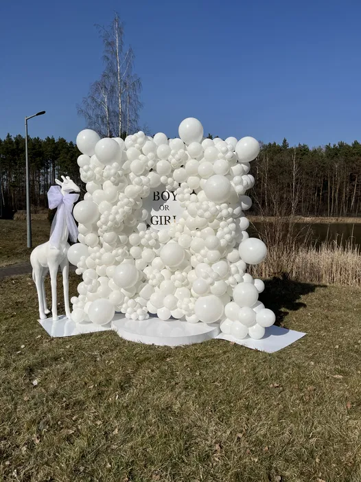 Biała ścianka z balonami do sesji gender reveal na świeżym powietrzu, napis „Boy or Girl?”, dekoracje na trawie, plener z drzewami w tle.