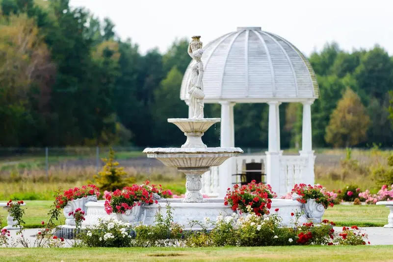  Biała fontanna w ogrodzie z różami na tle altany, krajobraz parkowy. 