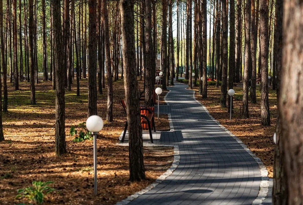Ścieżka spacerowa w lesie z wysokimi drzewami, otoczona lampami i ławkami, oświetlona naturalnym światłem.