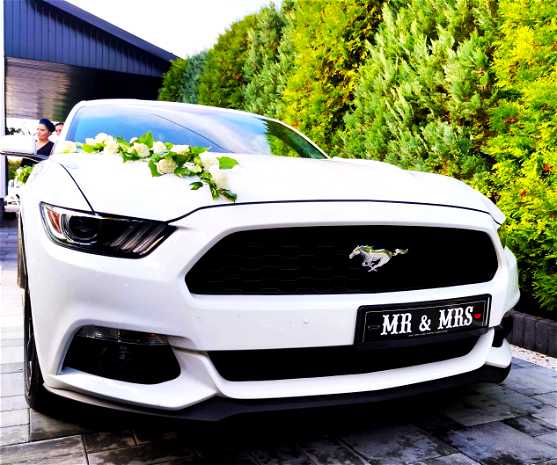 Mustangiem do ślubu - Samochody do ślubu - photo - 1