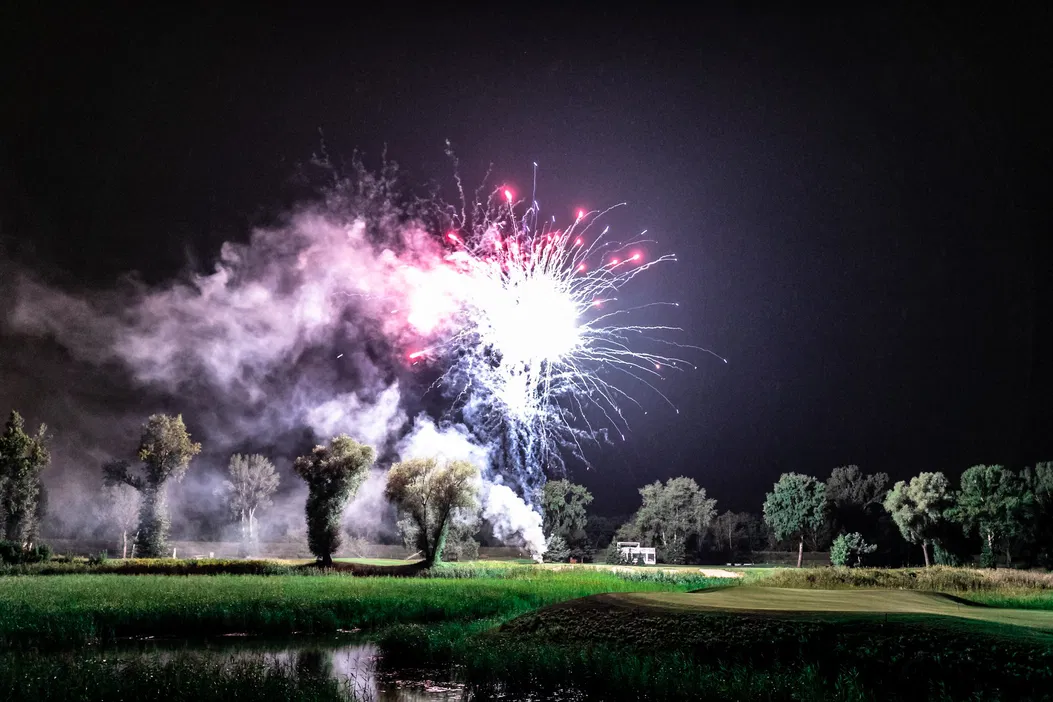 Fajerwerki oświetlające nocne niebo nad parkiem z drzewami i trawą.