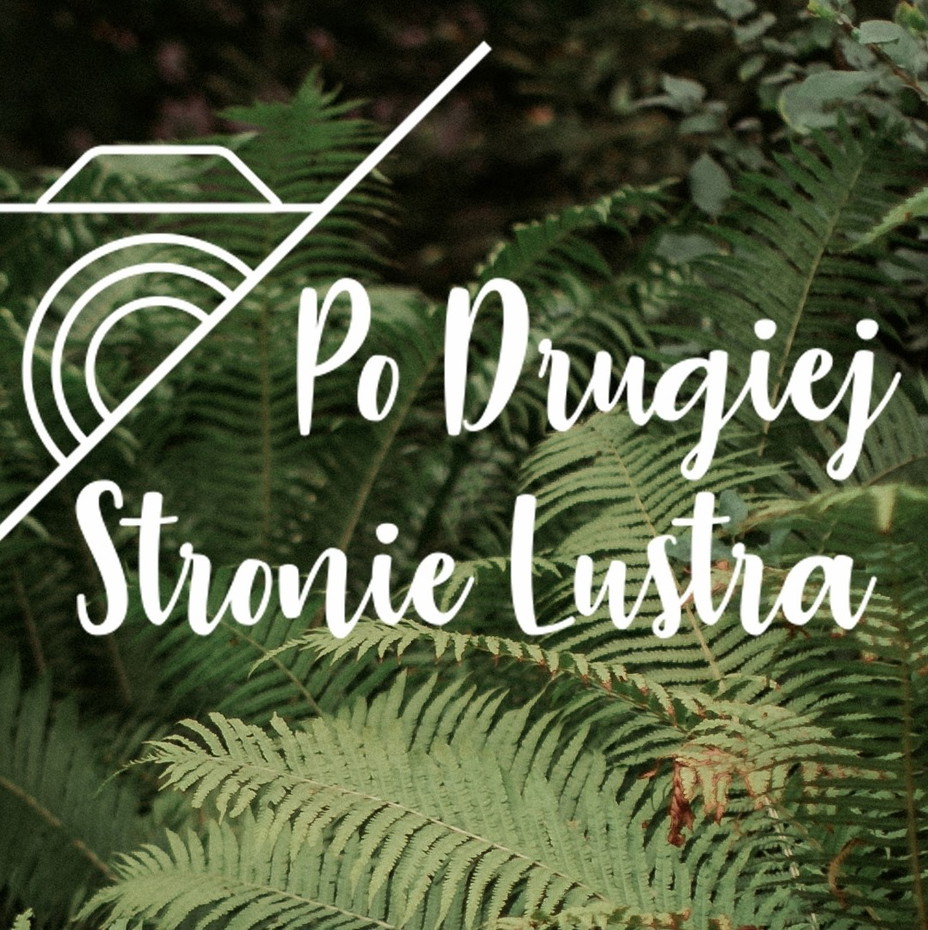 Foto po drugiej stronie lustra - Fotografia i film - photo - 0