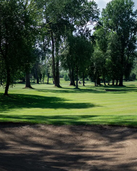 Zielone pole golfowe otoczone drzewami z piaskowym bunkrem na pierwszym planie.