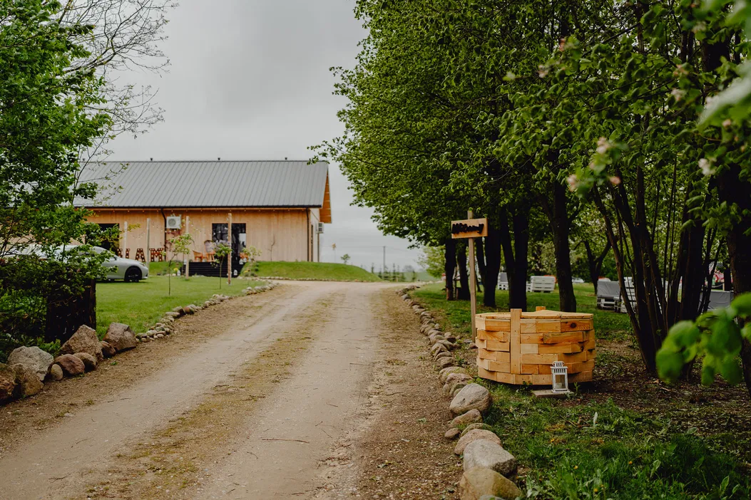Ścieżka prowadząca do drewnianego domu na wsi, otoczona drzewami i zielenią w spokojny, pochmurny dzień.