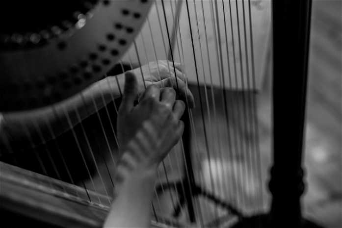 Harfa - oprawa muzyczna ślubu - Zespół i DJ - photo - 2