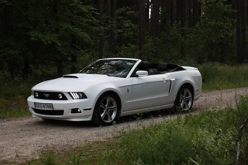  Biały sportowy kabriolet na leśnej drodze, elegancki samochód w naturalnym otoczeniu. 