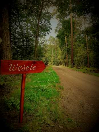 Ośrodek Wypoczynkowy Leśna Polana - Sale weselne - photo - 1