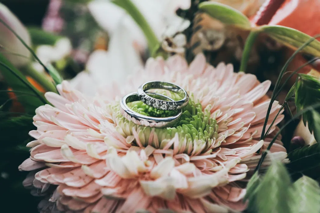 Wedding & Dance Coach - Wedding planner - photo - 6