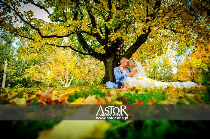 Astor Video-Foto - Fotografia i film - photo - 0