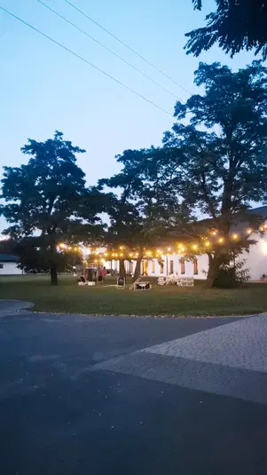  Zachód słońca nad ogrodem z drzewami, przyjęcie na świeżym powietrzu z oświetleniem z girlandami żarówek, wieczorna atmosfera, przyjęcie plenerowe. 