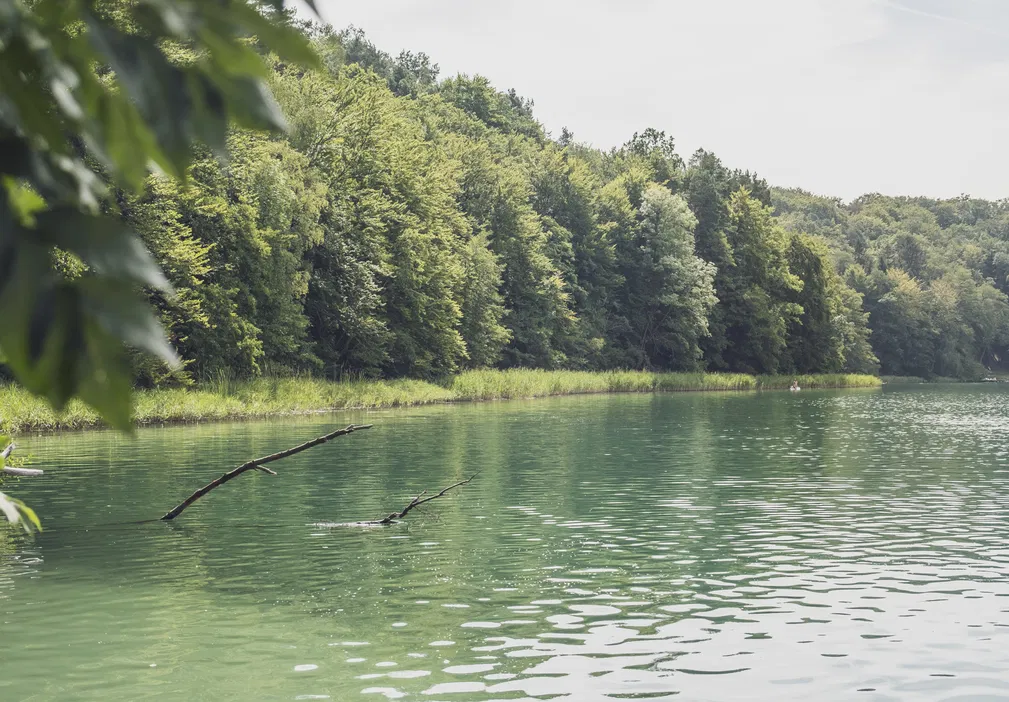 Jezioro otoczone bujnym lasem w letni, słoneczny dzień.