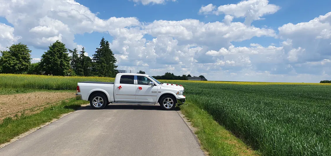  Biały pickup ozdobiony wstążkami na wiejskiej drodze, zielone pola i niebieskie niebo w tle. 