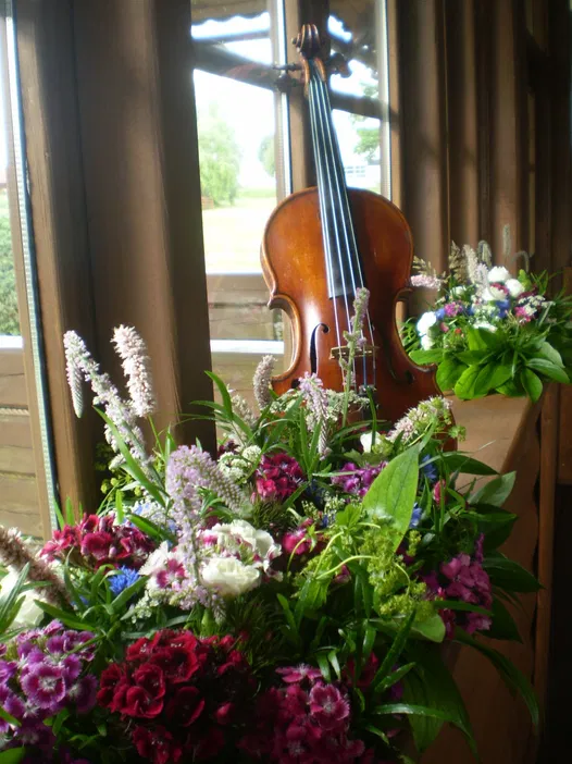 Re Violin - Oprawa muzyczna ślubu - photo - 4