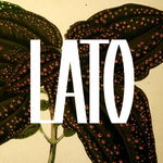 Obiekt Lato