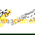 For Dance Music Band